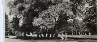 Folkparken i svartvitt från förr