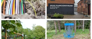 Så fördelas kommunens pengar nästa år – se listan här