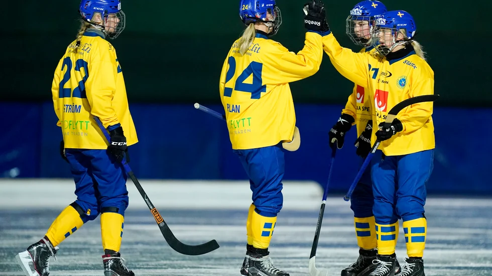Bandy-VM avgörs i Sverige nästa år. Arkivbild.