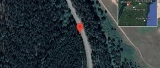 Fallna träd skapar problem i trafiken