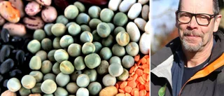 Vegetarisk trend skapar efterfrågan på Gotland 