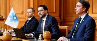 SD vill ha mer omfattande plan än januariavtalet