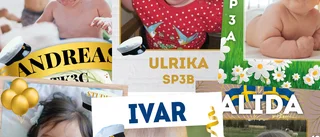 Dags att beställa studentskylt