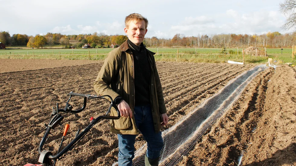 Carl Kristoffersson driver tulpanlöksodling med ovanliga sorter på barndomsgården utanför Motala.