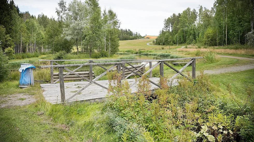 Dammarna i Klockarbergsparken.