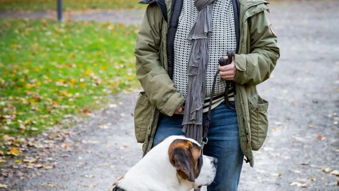 "En formmässig blandning av dikter, sviter, speak bitterness och bra prosa. Läs!" skriver NSD:s recensent om Hanna Hallgrens "Ensamhetsträning med Majken Johansson".