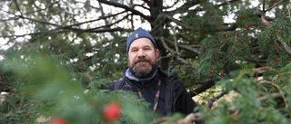 Johans annorlunda jobb – räknar träd • Så skyddar träden mot föroreningar