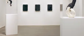 Japanskt hantverk i centrum när Stockholmskonstnär utforskar liv och död på Ebelingmuseet