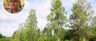Experten: Så kommer Vimmerby att påverkas av klimatförändringarna • Det kan du som privatperson göra