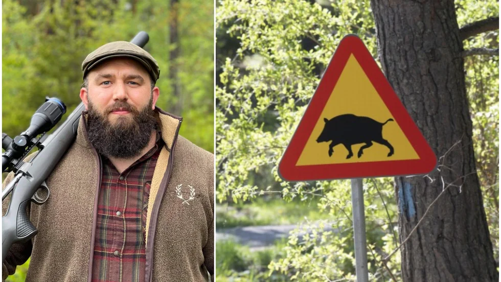 I vintras startade länsbon Emil Åsberg "Vildsvinsjouren Uppland" tillsammans med några vänner där de hjälper såväl markägare som jaktlag med att skjuta av vildsvin när det behövs - gratis. 