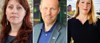 Så vill politikerna åtgärda vårdplatsbristen – jämför vården med gigantisk pannkakstårta