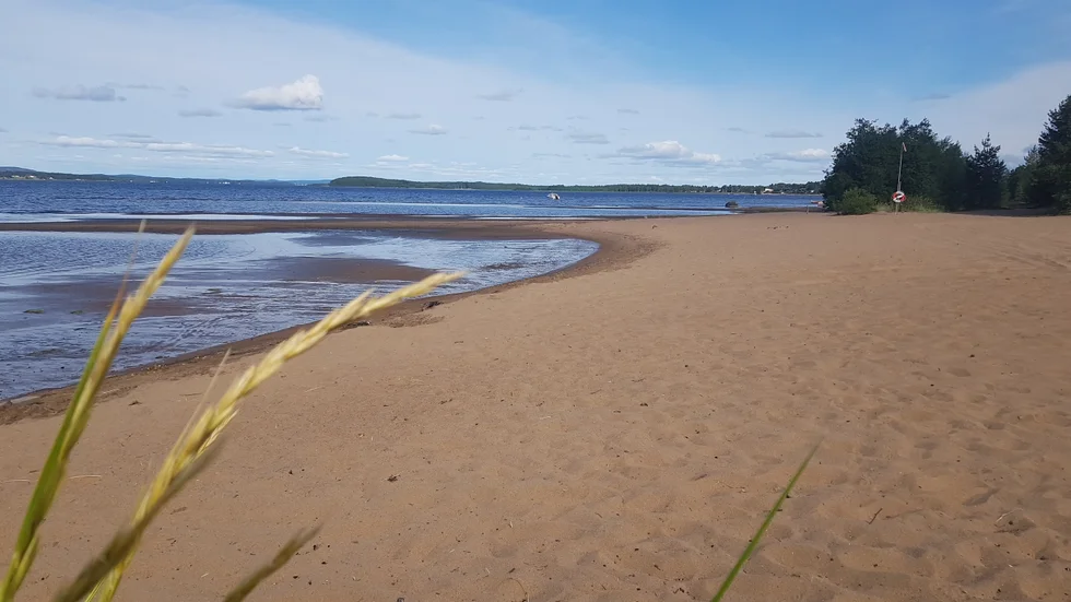 Storsand i Gammelstad pekas ut som kommande naturreservat. Luleå kommun föreslås fatta beslut redan första kvartalet 2025.