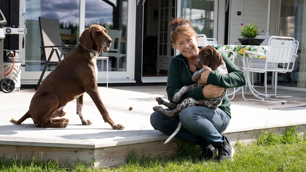 I dag har Viveka Grahn har bytt ut sitt hästintresse mot hundar och jakt. Här med två av hennes fyra korthåriga vorstehrar Karhu (den bruna) och så valpen Hugo.