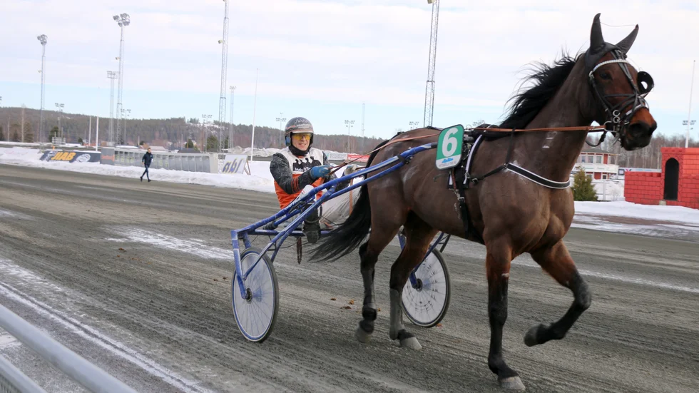 Rally Funny fick sista pengen i bronsfinalen på Solvalla.