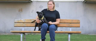 Hundinstruktör: "Vad gör det om hunden är lite busig?"
