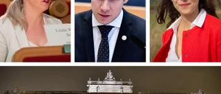 Så tycker "våra" politiker om krisen: "De skadar Sverige"