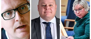 Så ser andra Norrbottningar i riksdagen på krisen