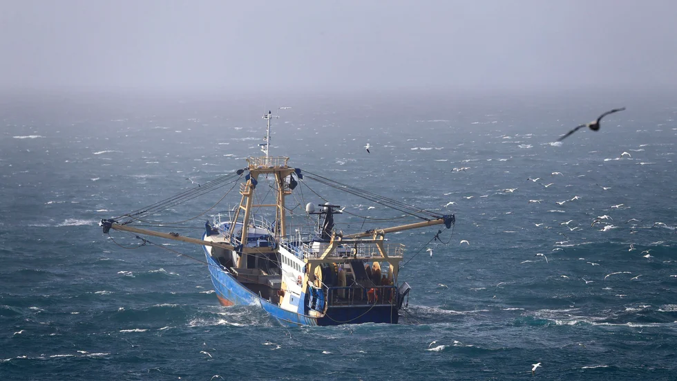 Frankrike och Storbritannien har hamnat i luven på varandra om hur många licenser franska fiskeindustrin ska få för att fiska i brittiska vatten efter brexit. Arkivbild.