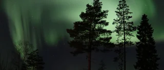 Läsarbilden: Säsong för norrsken