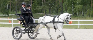 Team från Gotland tävlar i VM 