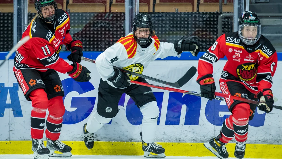 Luleå Hockey MSSK:s match mot Brynäs skjuts upp.