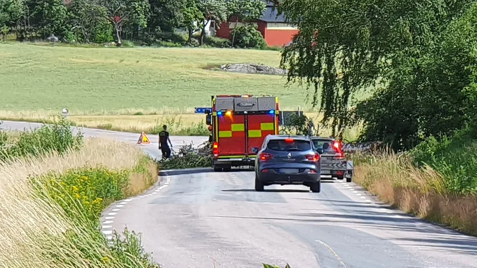 Flera träd har det senaste dygnet fallit över vägar i Sörmland. Här i Kjula utanför Eskilstuna på måndagsförmiddagen.