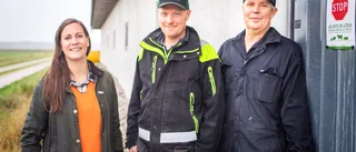 Grisproducenterna ser ljust på framtiden
