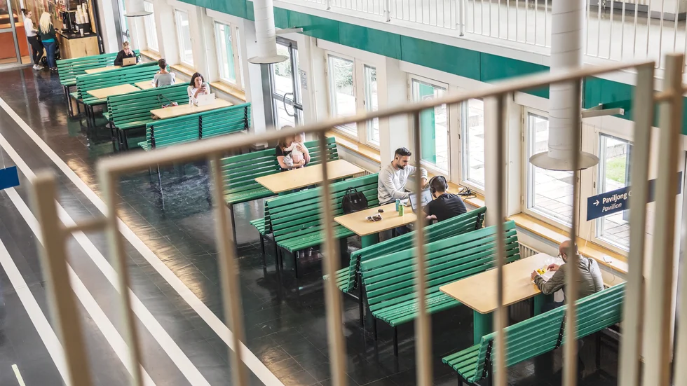 Närmare 260|000 personer vill plugga vid Stockholms universitet (bilden) eller något annat lärosäte i vår. Arkivbild.