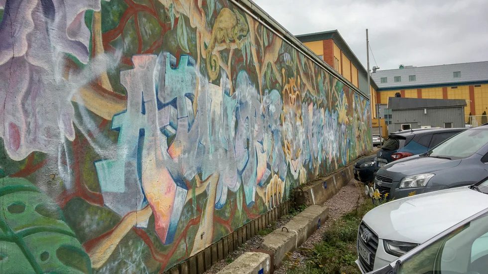 En restaurering av ”Admire Nature” skulle kosta en bråkdel av de 5 miljoner vår grannkommun Linköping anslagit för sina nya muralmålningar, menar insändarskribenten.