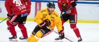 TV: Luleå Hockeys internmatch 