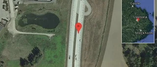 Rådjur på vägen på E4