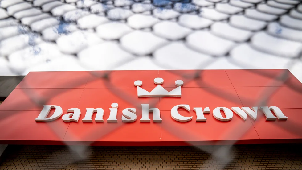 Totalt 44 anställda på Danish Crowns slakteri i danska Ringsted har testat positivt för covid-19. Arkivbild.