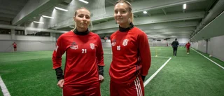 Expiffarens nya tunga skada    