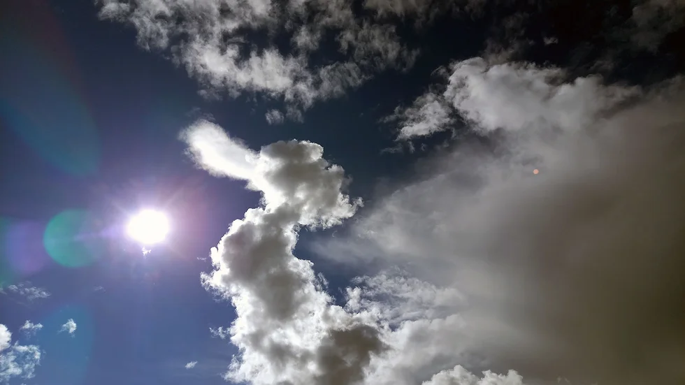 Ankan i himlen.