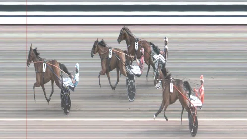 Pleasue For Cash lunkade 1.11,2 när han vann klass 1-finalen i V75. Örjan Kihlström satt bakom bjössen när ekipaget vann till tio gånger insatsen och sopade bort 91 procent av kupongerna.