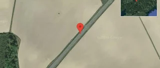 Fallna träd skapar problem i trafiken på väg 582