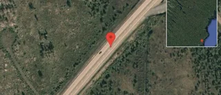 Älg på vägen på E4