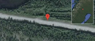 Fallna träd skapar problem i trafiken på väg 97