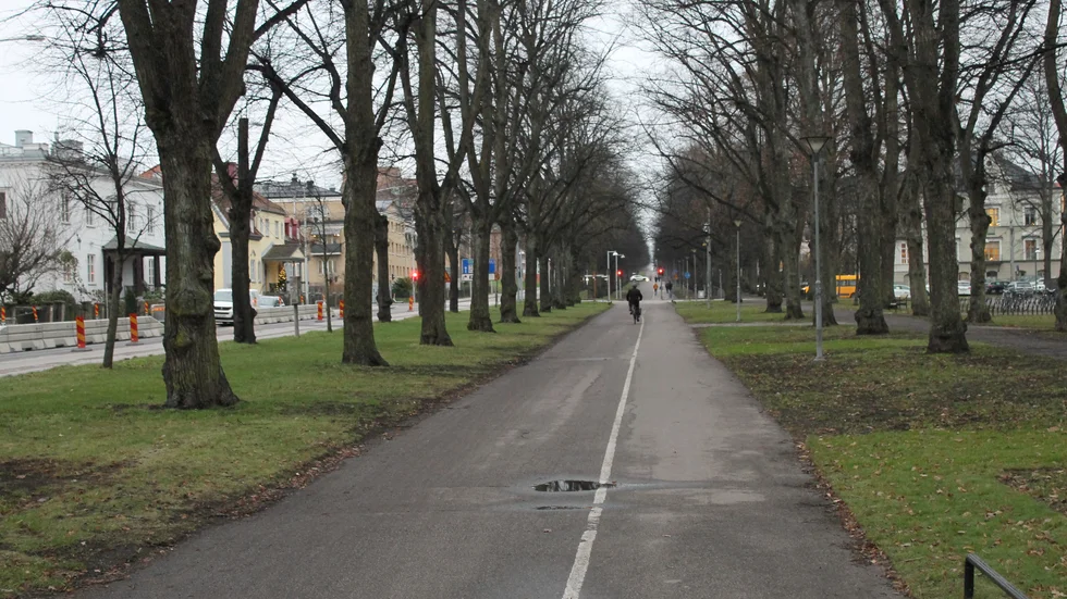 Efter att ha ställt sig på vågen bestämmer sig Stephan Andersson för att ta en promenad.