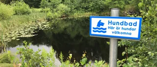 Nu slopas medborgarförslagen  