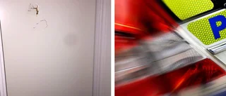 Åklagaren: 25-åring slog sönder dörrar