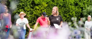 "Corona ger mer fjärilar och bin i slottsparken"