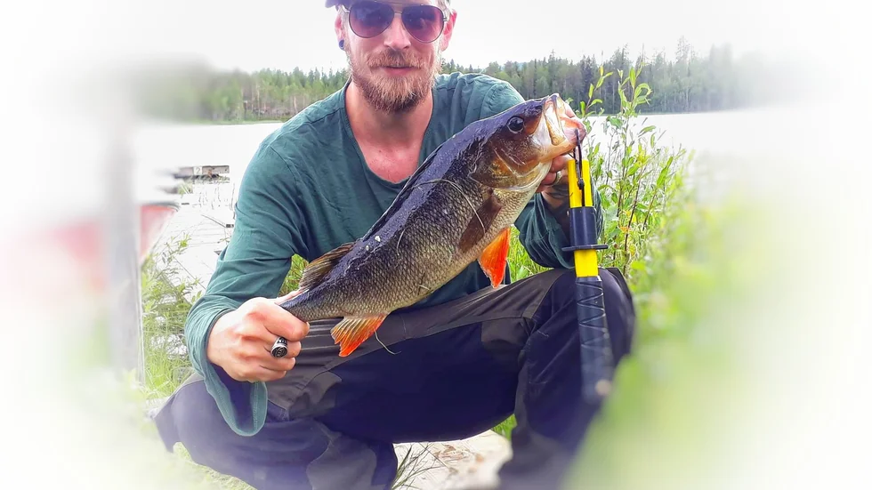 Pontus Vineholts granna abborre väger 1,48 kilo, men det vimlar av stora abborrar och han ligger faktiskt bara sexa i klassen.