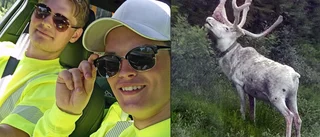 Ren tur att få se detta: "Såg ut som en noshörning"