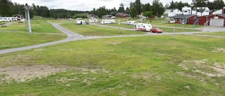 Turisterna flyr de stora campingplatserna: "Brukar ha köer vid den här tiden"