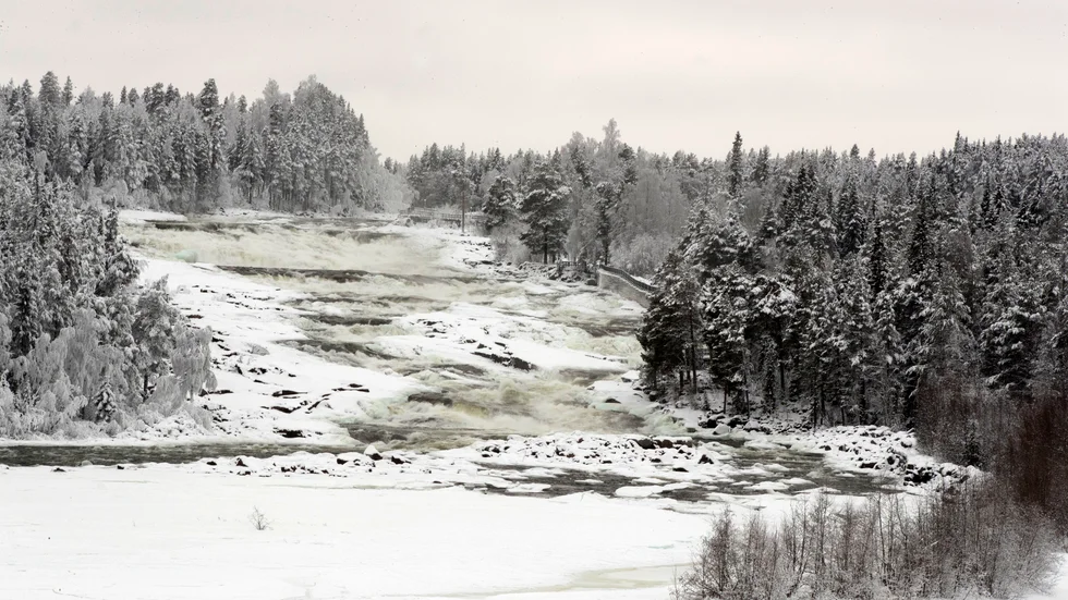 Storforsen.