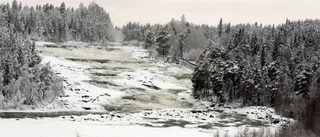 Fem par sa ja till varandra            