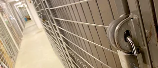 Stöldräd på flera håll i kommunen – fick oväntat besök i källaren