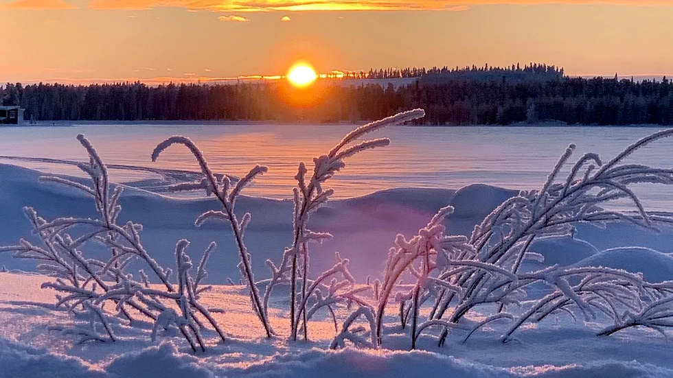 Snart är våren här i Varsavareby.