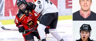 Så vill förbundet utveckla damhockeyn 